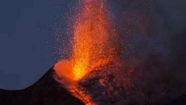 3ec5e6e0a29c72e3ad2e7f51d0b5d444